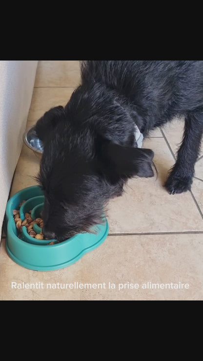Gamelle Anti-Glouton pour Chien