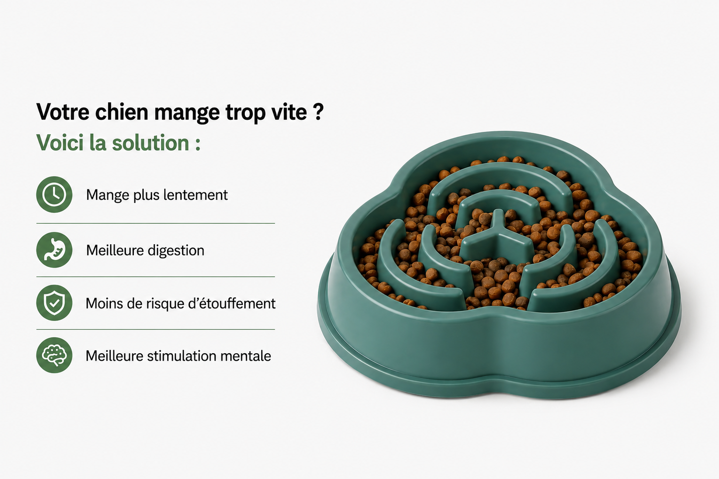 Gamelle Anti-Glouton pour Chien