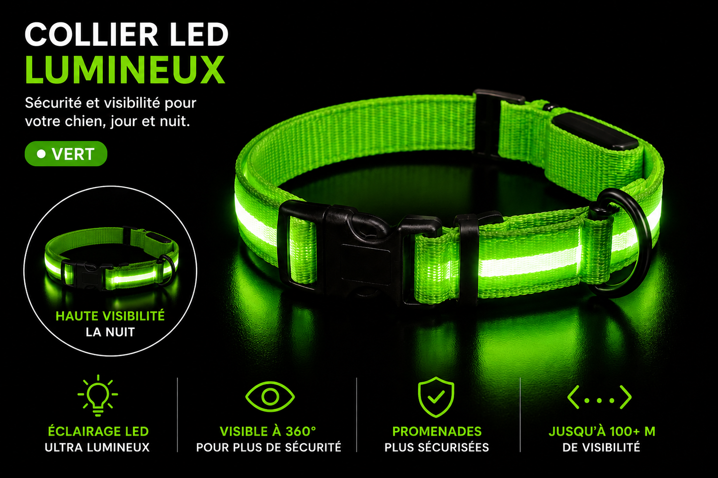 Collier Led pour chien