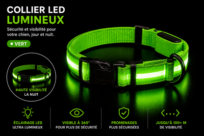 Collier Led pour chien