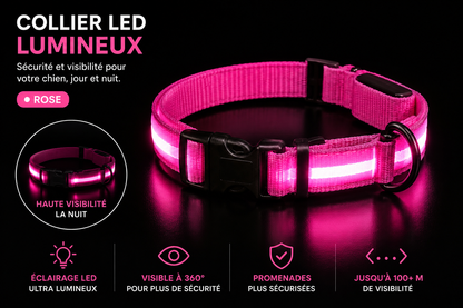 Collier Led pour chien