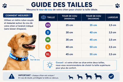 Collier Led pour chien