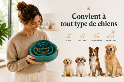 Gamelle Anti-Glouton pour Chien
