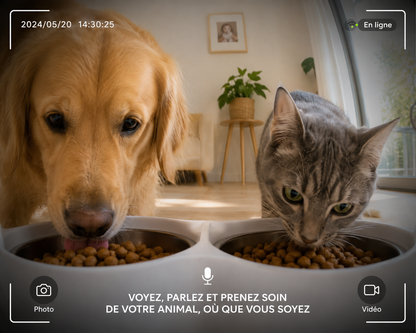 Distributeur de Croquettes Connecté