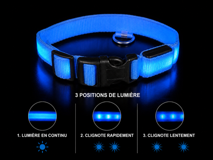 Collier Led pour chien