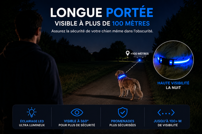 Collier Led pour chien