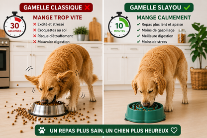 Gamelle Anti-Glouton pour Chien