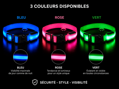 Collier Led pour chien